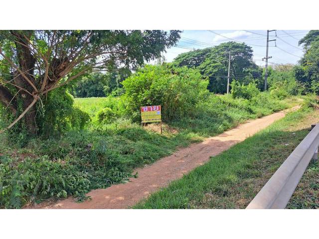 ขายที่ดิน 4-3-89 ไร่  ติดถนนมะลิวัลย์ ต.หนองบัว บ้านฝาง  ขอนแก่น