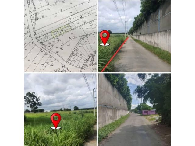 #เสนอขายที่ดินมาบยางพรปลวกแดงระยอง #ขายที่ดินทำเลดี #ที่ดินสีม่วงลาย ที่ดินเนื้อที่ 8-3-51 ไร่ (โฉนดครุฑแดง 4 ใบ)