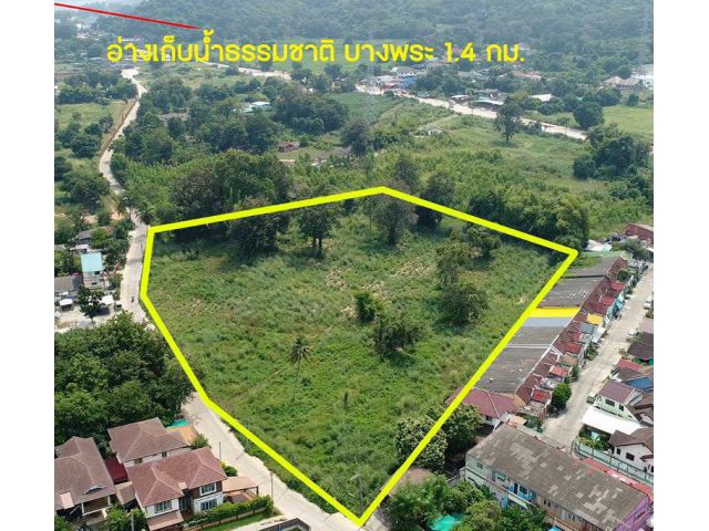 ขายที่ดินบางพระทำเลดีติดวิวเขา 8 ไร่(แบ่งขายได้)ซอยเทศบาล8 ติดอ่างเก็บน้ำบางพระใกล้ถ.สุขุมวิท3เพียง500เมตร อ.ศรีราชา