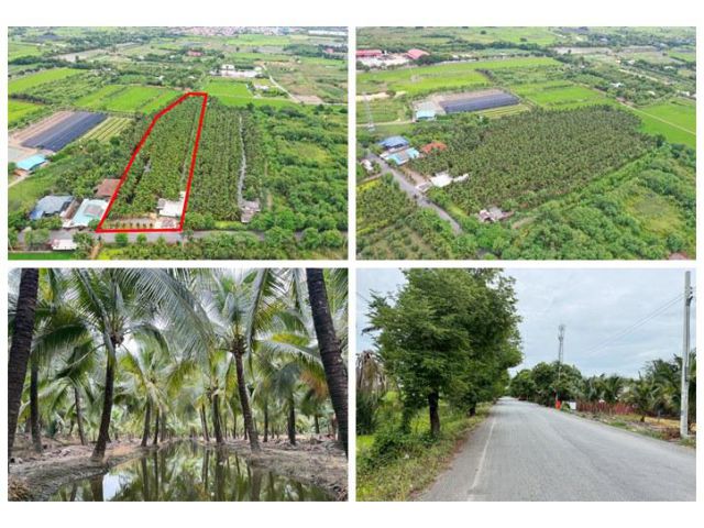 ขายที่ดินพร้อมสวนมะพร้าว 7 ไร่ 2 งาน 11 ตรว. บรรยากาศร่มรื่น สวยงาม เหมาะแก่การลงทุนระยะยาว โทร 088-2559999 เจ้าของขายเอ