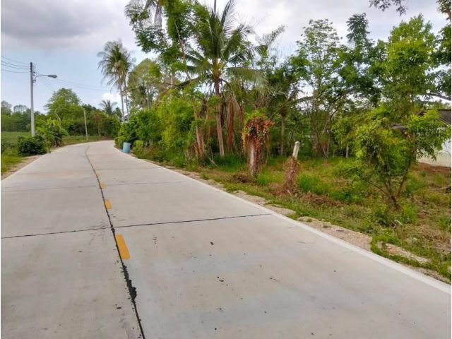 ขายที่ดิน 4 ไร่ บางพระ ใกล้สำนักงานที่ดินศรีราชา