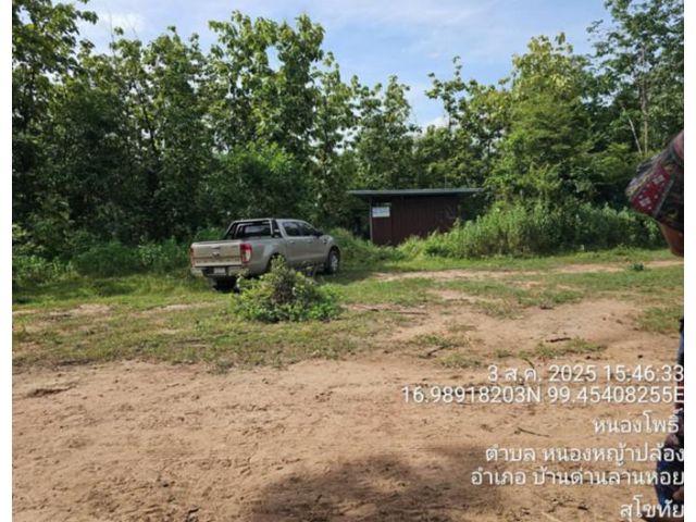 ขายที่ดินพร้อมบ้าน 1 หลัง 320 ไร่ ถ.ตาก-สุโขทัย (ทล.หมายเลข 12) ต.หนองหญ้าปล้อง อ.บ้านด่านลานหอย สุโขทัย ปลูกไม้ยูคา