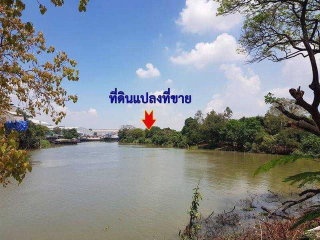 ที่ดินเปล่าติดแม่น้ำป่าสัก  ต.ปากจั่น อ.นครหลวง จ.พระนครศรีอยุธยา
