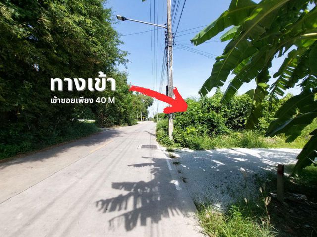 ขายที่ดินซอยบ้านสวนเศรษฐกิจ 150 ตรว หนองรี ชลบุรี