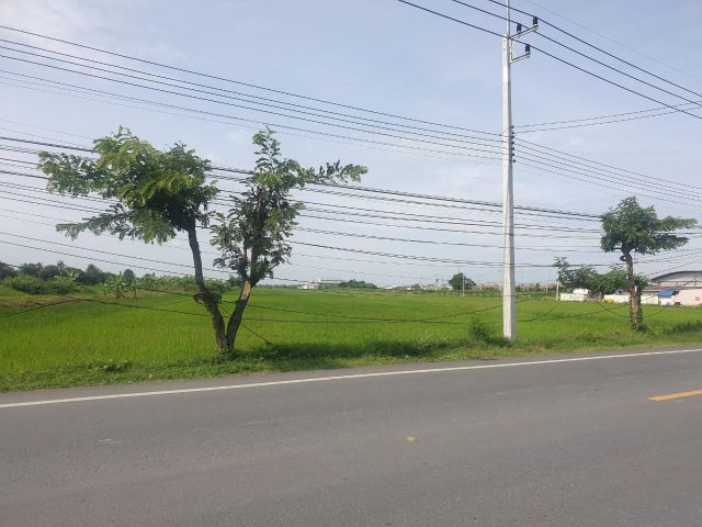 ขายที่ดิน ขนาด 29 ไร่ 1 งาน 32 ตร.ว. พุทธมณฑล จ.นครปฐม  เหมาะสำหรับทำโครงการบ้านจัดสรร