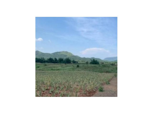 ขายที่ดิน ขนาด 58-0-17 ไร่ ตำบลพุสวรรค์ อำเภอแก่งกระจาน จังหวัดเพชรบุรี