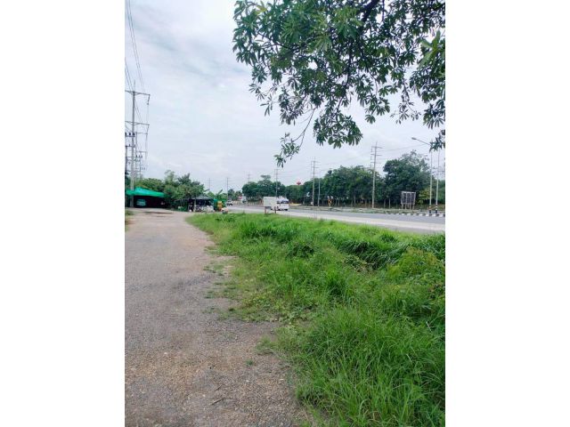 ขายที่ดิน ขนาด 2-3-60.2 ไร่ ติดถนนใหญ่เส้นหลัก ถ.พหลโยธิน ต.พุแค อ.เฉลิมพระเกียรติ จ.สระบุรี (เลยสวนพฤกษศาสตร์)