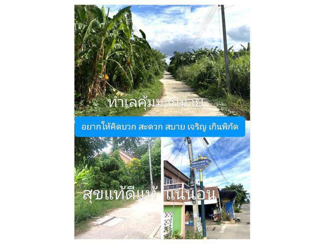 สวยมากให้มากเพราะอยากขาย ที่อยู่อาศัยใกล้แม่น้ำบรรยากาศส่วนตัว ที่ระดับถนนชุมชนพร้อมด้วยสาธารณูปโภค อยู่เย็นย่อมเป็นสุข
