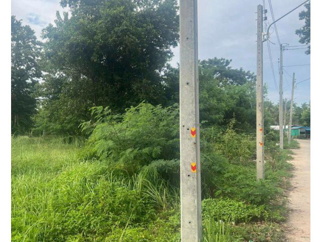 ขายที่ดินตะเคียนเตี้ย 2 ไร่ หนองพลับ-สังกะเปียวซอย2 ใกล้ถนนบายพาส-2กม. บางละมุง ชลบุรี