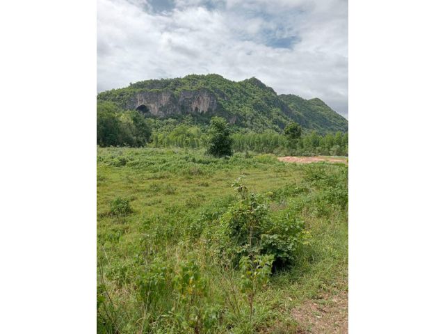 ขายที่ดิน 4 ไร่ไร่ละ 400,000 ครุฑแดงด้านหน้าได้วิวเขาทำทะลุมิติน้ำไฟถึง บรรยากาศดีมาก เหมาะสำหรับปลูกบ้านยามเกษียณ