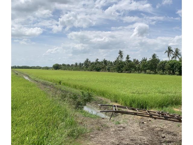 ขายที่ดินเปล่า ขนาด 13-2-10.6 ไร่ ทำเลทอง ซอยวัดลาดปลาดุก อ.บางบัวทอง จ.นนทบุรี