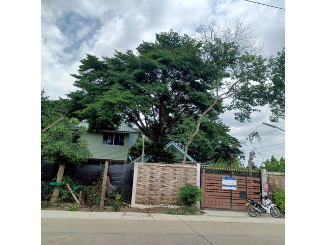 PZ1154  ขายที่ดิน พร้อมบ้าน  เนื้อที่ 200 ตรว. ลำลูกกา จังหวัดปทุ