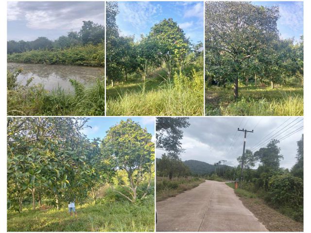 ที่ดินติดถนน 1ไร่ 83ตร.วา️