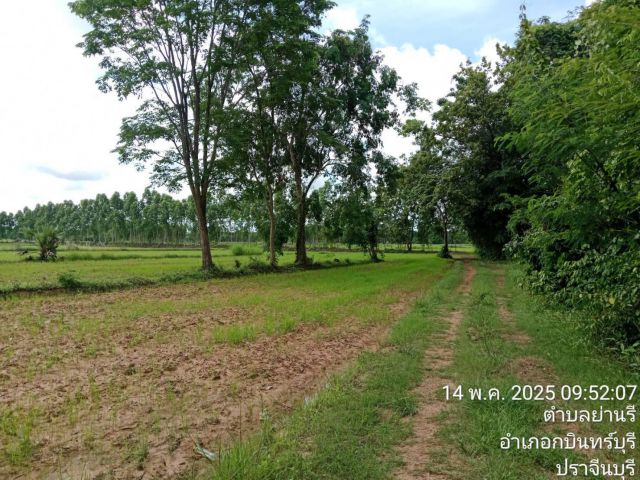 ขายที่นามี 4 แปลงติดกัน เนื้อที่รวม 118 ไร่