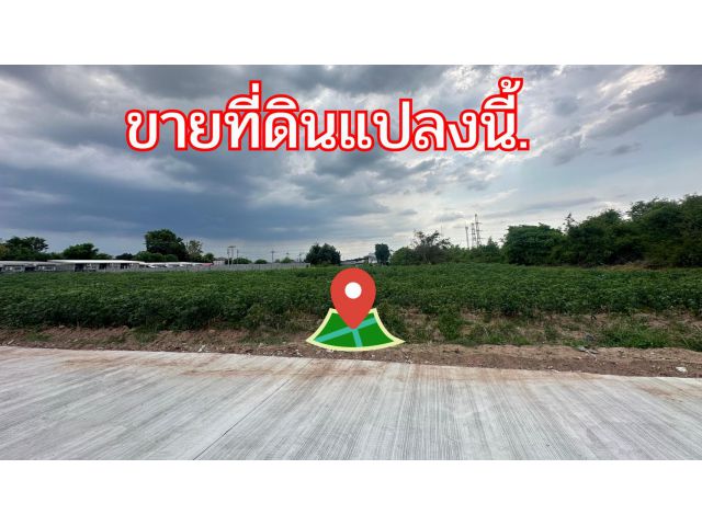 ข่าวดี.(9,000บ./วา)  #ที่ดินจัดล็อค เฉลี่ย.(1 ไร่.ะ3.6 ล้าน) | หลังเจ้าสัวโคราช. | *น้ำไม่ท่วม. | ราคาถูกพิเศษ หายาก!! (