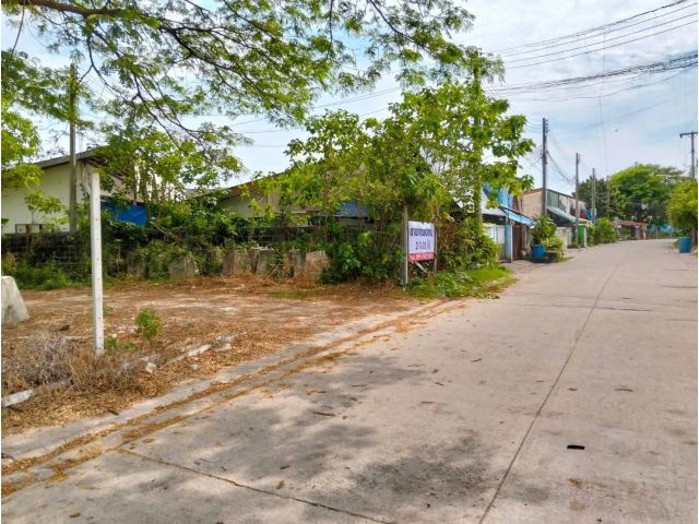 ที่ดิน 2 ไร่ 3 งาน ตัวเมืองระยอง ใกล้สุขุมวิท 250 เมตร ตรว.ละ 15,000