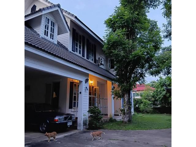 ขาย บ้านเดี่ยว 2 ชั้น  ล้านนาวิลล์ เชียงใหม่  4 ห้องนอน 6 ห้องน้ำ