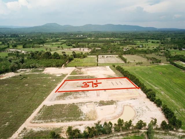 ขายที่ดิน3ไร่ๆละ2.3แสนบาท ใกล้นำ้ตกในอำเภอประจันตะคาม หลายแห่ง ต.บุฝ้าย จ.ปราจีนบุรี