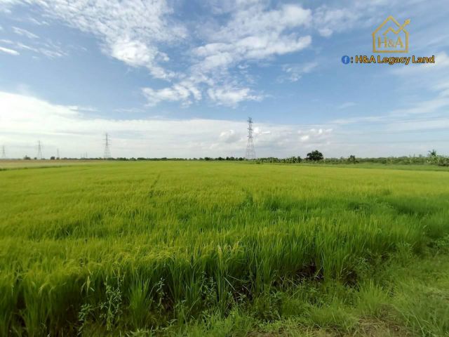 ขายที่ดินเปล่าแปลงสวย ติดถนนใหญ่ อย.3006 ลาดบัวหลวง–ไม้ตรา อ.ลาดบัวหลวง จ.พระนครศรีอยุธยา 30-3-74 ไร่