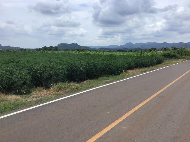 ขายที่ดิน โฉนดครุฑแดง ขนาด 48 ไร่