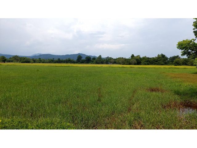 ขายที่ดินวิวเขา ศรีนาวา นครนายก
