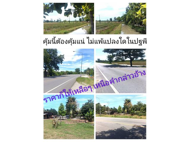 บอกได้เลยเมื่อได้เห็น มีความรู้สึกโดนจิตโดนใจนึกชอบไปเต็มๆถนนหลัก 3209 อย่าพึ่งหันหลังกลับ นี่งัยแปลงที่เรายังไปไม่ถึง