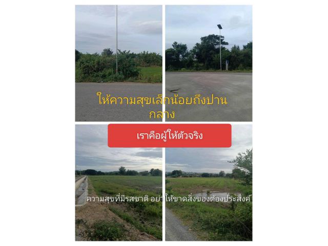 นำเสนอข้อมูลอย่างตรงไปตรงมา คุ้มค่ามหาศาลกับแปลงโปรดประโยชน์เยอะ มาที่นี่แค่จ่ายตอนจบพบแต่แปลงดีๆที่อยากแนะนำเป็นทางการ