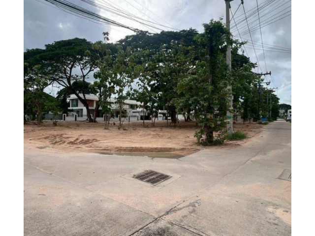 ขายที่ดินถมแล้วหนองปรือ 1 ไร่ แปลงหัวมุมติดถ.ซอยชัยพฤกษ์1 ใกล้หาดจอมเทียน-1กม. จ.ชลบุรี