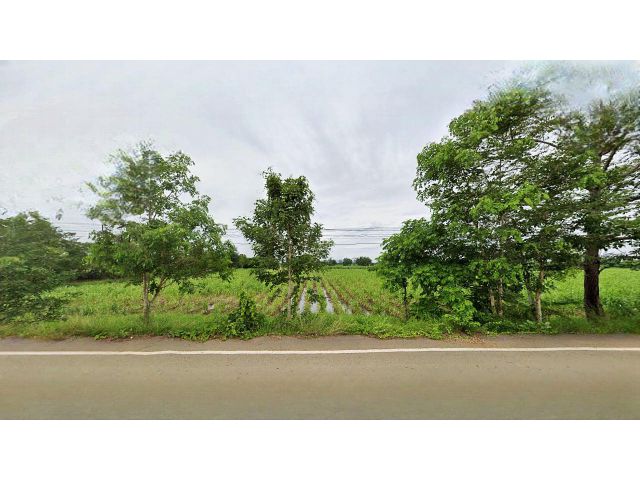 ขายที่ดิน(โฉนด)30ไร่ ต.ศรีเทพ อ.ศรีเทพ จ.เพชรบูรณ์
