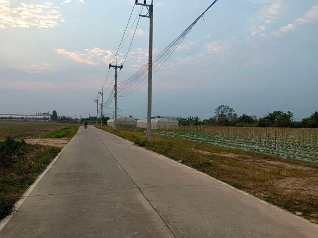 ขายที่ดินหนองบอนแดง 5 ไร่ ซอยทุ่งโปร่ง4/2 ใกล้ถนนวิฑูรดำริ-2กม. อ.บ้านบึง ชลบุรี