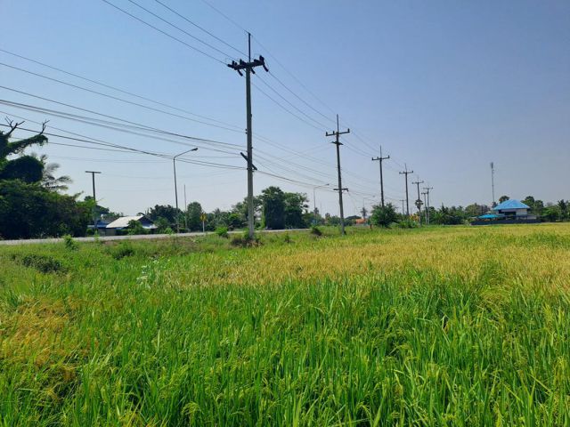 ขายที่โฉนด 28 – 0 – 98  ไร่ อยู่ ต.ธงชัย ทำหมู่บ้านจัดสรร