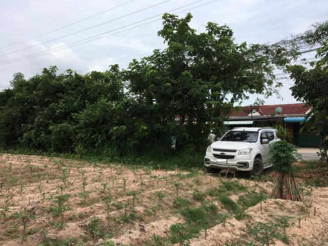 ขายที่ดินหนองเหียง 7 ไร่ ซอยวัดหนองสังข์ ติดถนน2ด้าน ใกล้ถนน331-5กม. อ.พนัสนิคม ชลบุรี
