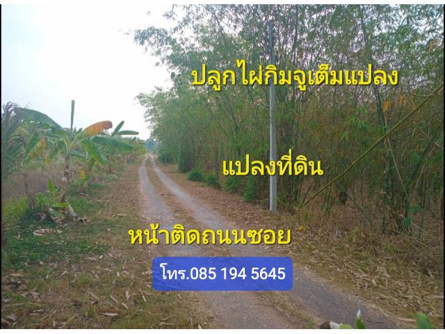 ขายที่ 4ไร่ ซ.เกาะกระชาย ต.เขาพระ อ.เมือง นครนายก