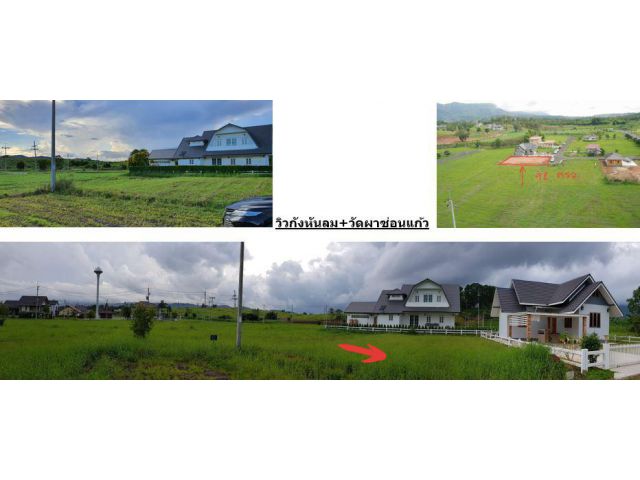 ขายที่ดินโฉนดในเขาค้อไฮแลนด์ วิว Panorama กังหันลม+วัดผาซ่อนแก้ว แปลง F2 ขนาด 92 ตร.วา ทำเลสวย วิวดี  ที่ดินถมแล้วพร้อมส