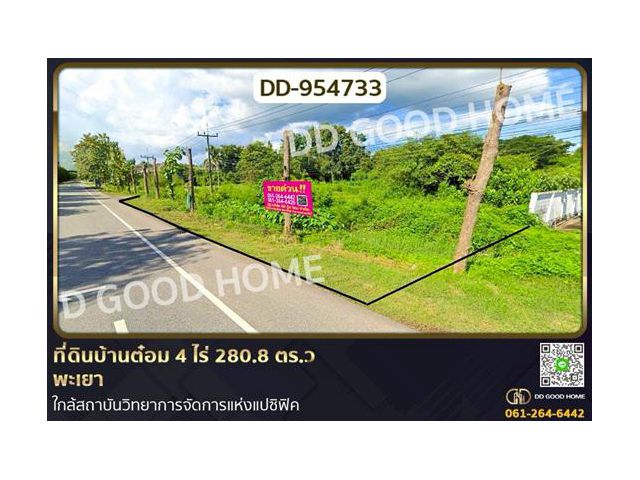 DD-954733 ที่ดินบ้านต๋อม 4 ไร่ 280.8 ตร.ว พะเยา ใกล้สถาบันวิทยาการจัดการแห่งแปซิฟิค