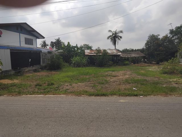 ขายที่ดิน 200 ตรว.หน้ากว้าง14เมตร ติดถนน ต.หนองปากโลง อ.เมืองนครปฐม
