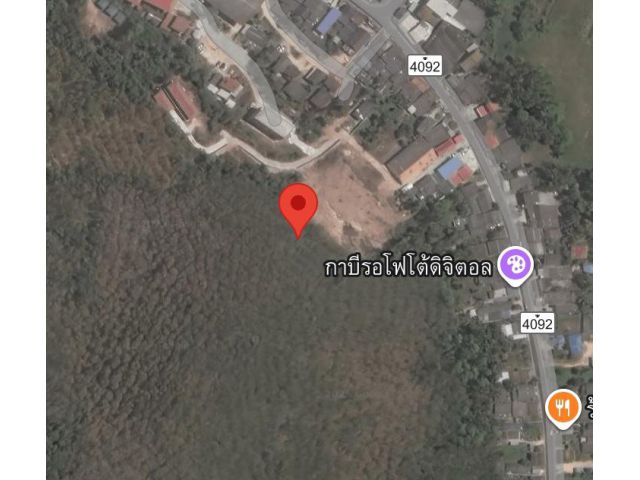 ที่ดินสวนยาง