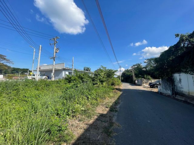 ขายที่ดินติดเซเว่นสันป่าตองห่างถนนหลักเพียง 20เมตร