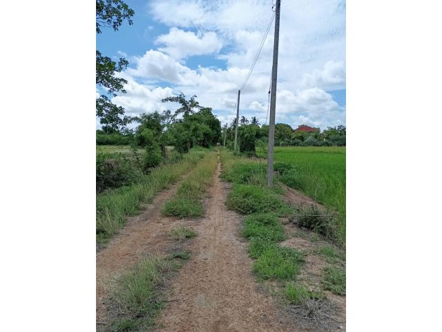 ขายด่วน ที่ดินเนื้อที่ 4 ไร่ 1 งาน 88 ตรว อ.สรรค์บุรี จ.ชัยนาท