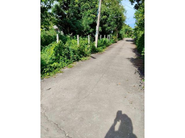 #ขายที่ดินเปล่าสันกลาง สันกำแพงเชียงใหม่ ทำเลดีเหมาะสร้างบ้าน น้ำไม่ท่วม