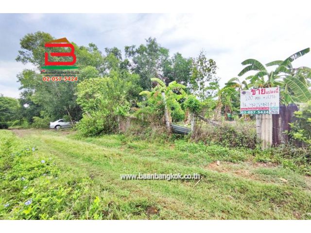 ที่ดิน ถมแล้ว ซอยมิตรไมตรี 2/2 เนื้อที่ 100 ตรว. ถนนมิตรไมตรี เขตหนองจอก กรุงเทพฯ