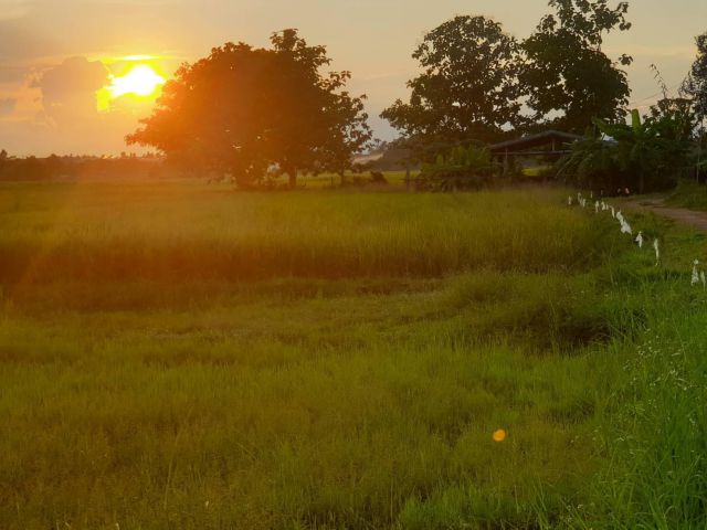 ขายที่ดิน (เจ้าของขายเอง)