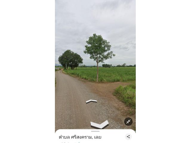 ขายที่โฉนด 5ไร่ ด่วน