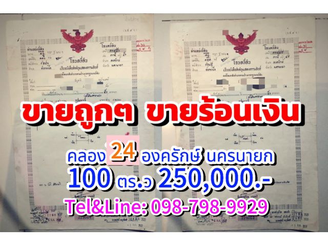 #ที่ดินถูก #ร้อนเงิน #ที่ดินคลอง24 #ที่ดินองครักษ์ #ที่ดินนครนายก #ที่ดิน100ตารางวา 250,000.- #ที่ดินหลักแสน