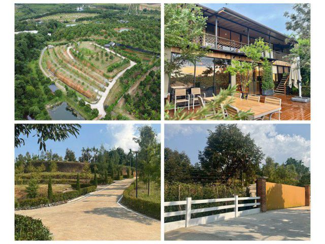 สวนทุเรียนขั้นบันได บ้านตากอากาศบนเขา พร้อมโฉนด! วิวหลักล้าน 11ไร่ อ.มะขาม จันทบุรี โทร 0830132000