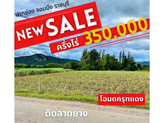 ที่ดิน จอมบึง ราชบุรี ติดลาดยาง