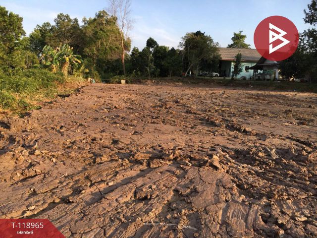 ขายที่ดิน เนื้อที่ 4 ไร่ 1 งาน 38 ตร.วา วังกระแจะ ตราด