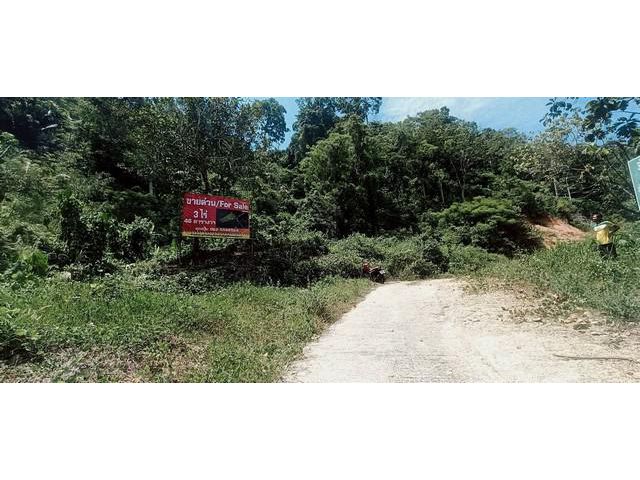 ที่ภูเก็ตวิวภูเขา ที่ดินใกล้น้ำตก ต.กระทู้ อ.กะทู้ จ.ภูเก็ต
