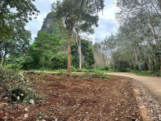 ขายที่ดินวิวภูเขา สวย เงียบสงบ – ใกล้ช่องพลี กระบี่  ขนาด 2 ไร่ 3 งาน 7 ตร.ว. (4,428 ตร.ม.)  ราคาเพียงไร่ละ 1.5 ล้าน