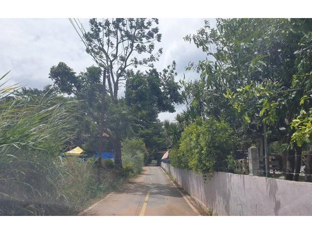 ที่ดินพร้อมบ้านพักอาศัย 7 ไร่  เขาใหญ่ ร่มรื่นเป็นส่วนตัว